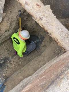 04F47551-9FB3-499E-97DC-CE43550C3EB0_20200619000000_photos-1592779882.122899-4-bcd850