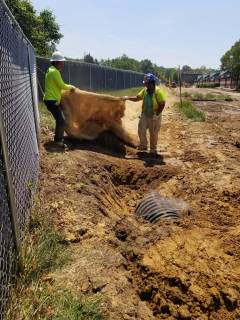 D0851DF1-F184-47B7-95E7-F0BF4C8FA653_16215295341404830021951781898046-86194c_1